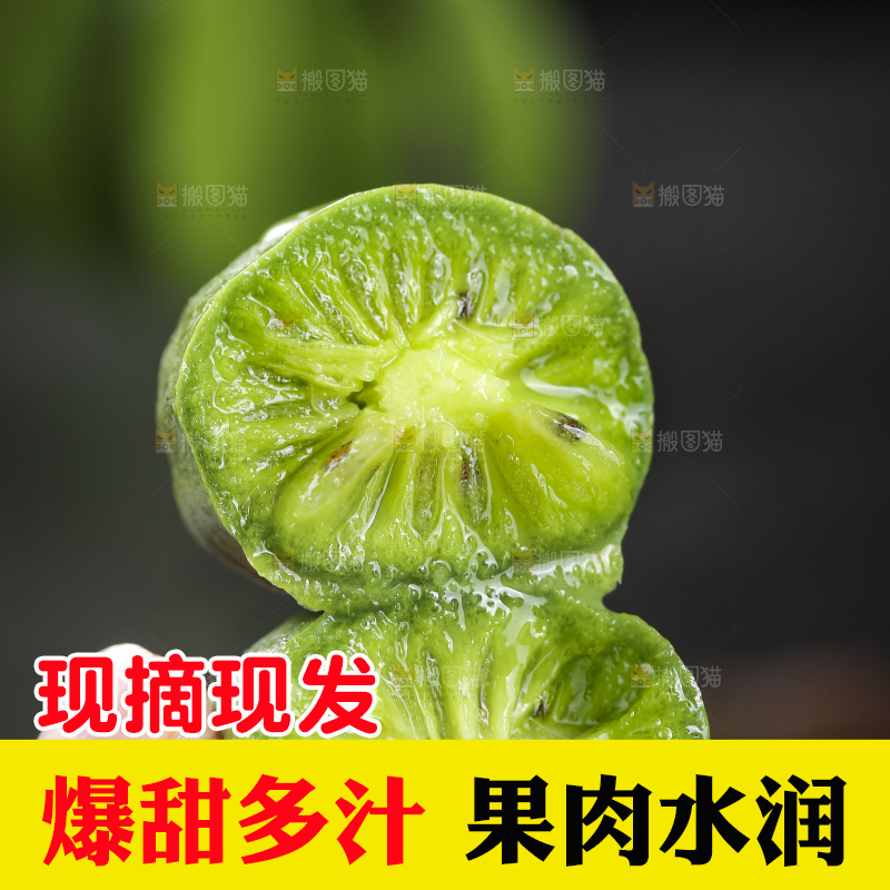 深底上的软枣猕猴桃