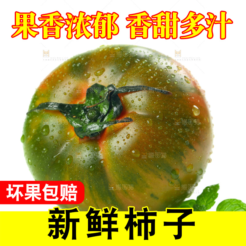白底上放着铁皮西红柿