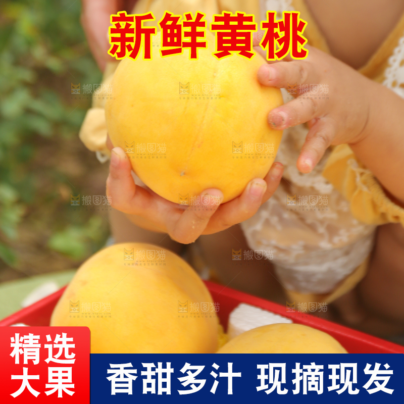 手里拿着炎陵黄桃