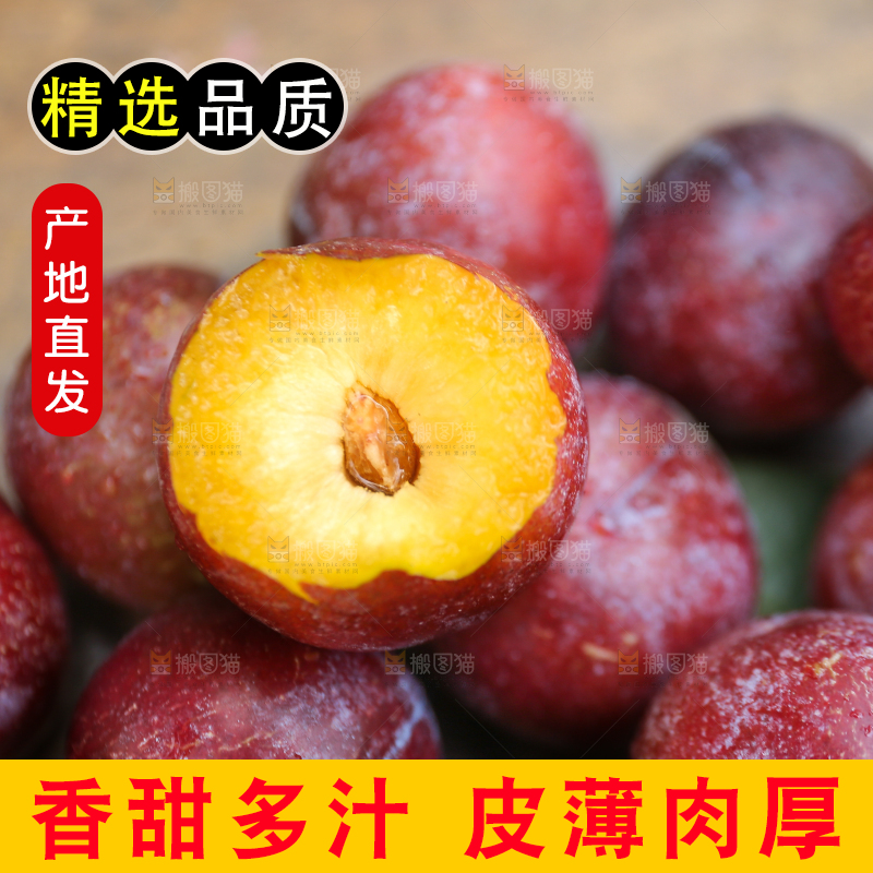 木底上放着红脱骨李