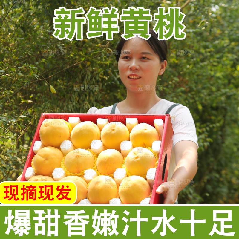 手里拿着炎陵黄桃