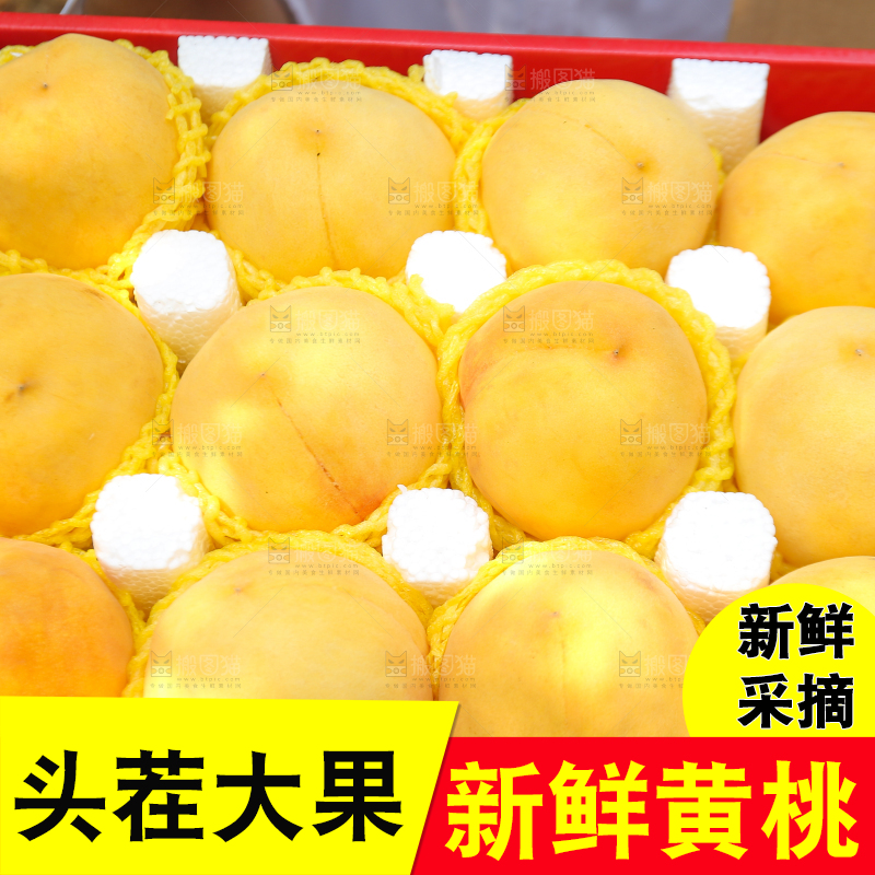 手里拿着炎陵黄桃