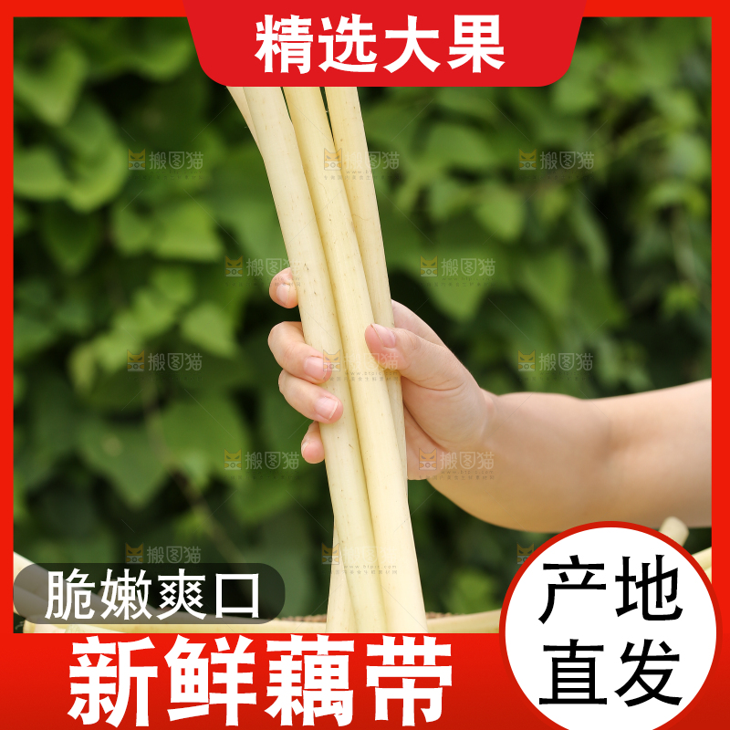 手里拿着藕带