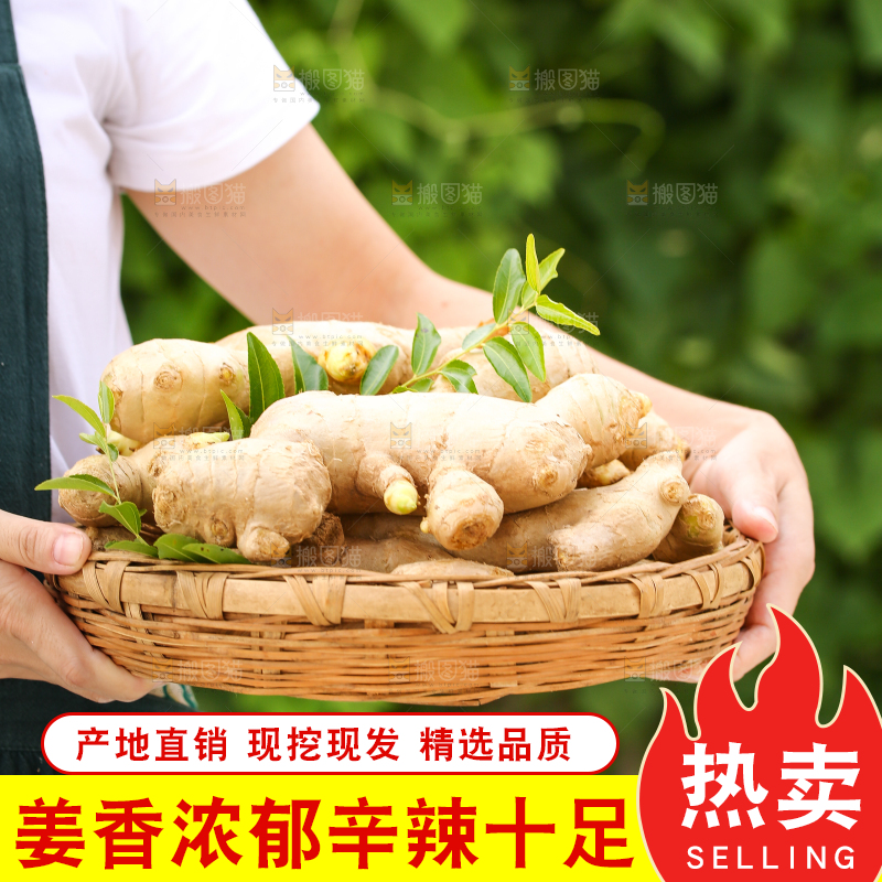 手里拿着生姜