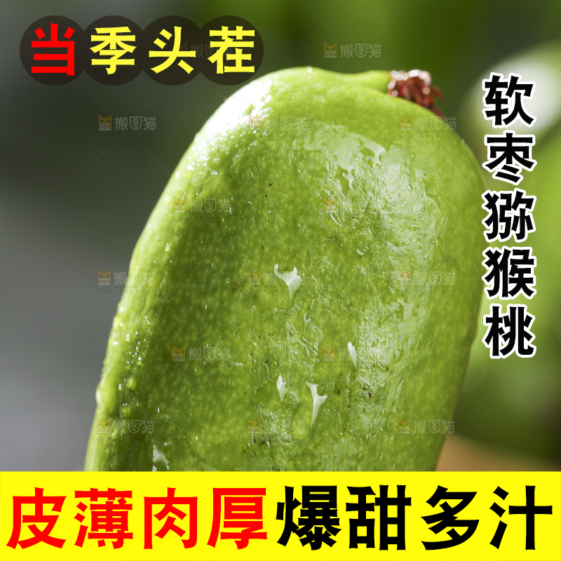 深底上的软枣猕猴桃