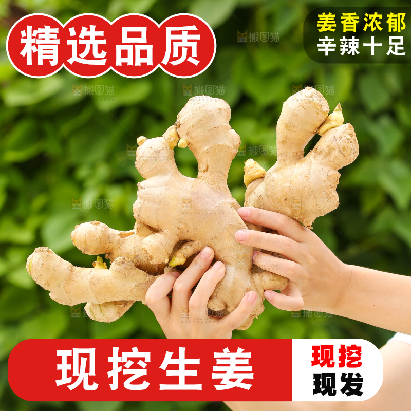手里拿着生姜
