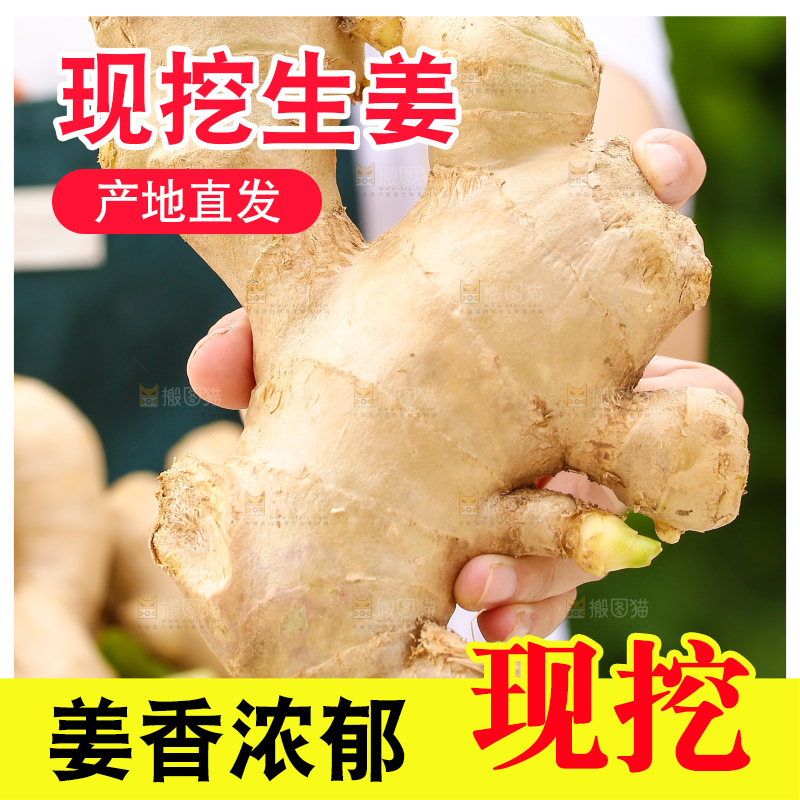 手里拿着生姜