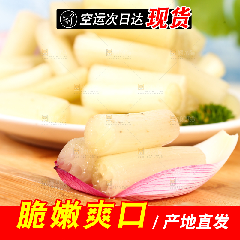 浅底上的藕带
