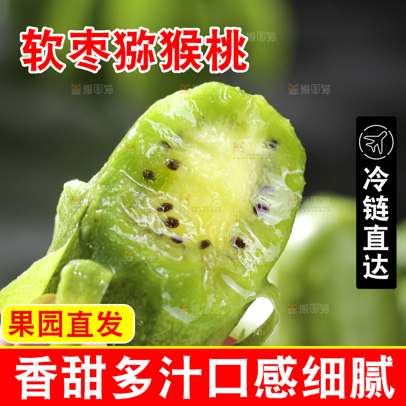深底上的软枣猕猴桃