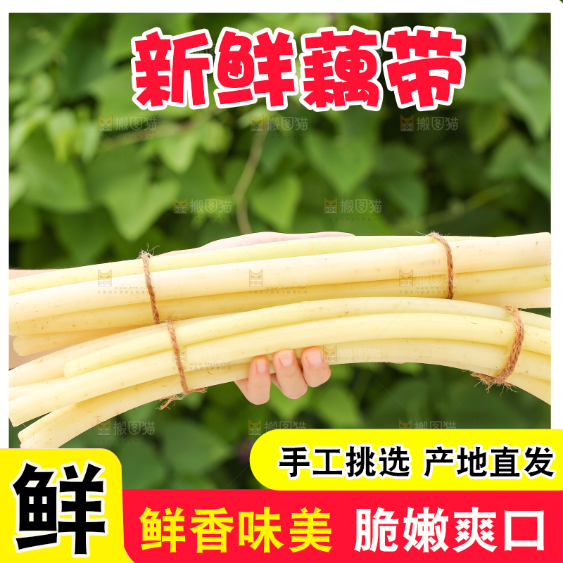 手里拿着藕带