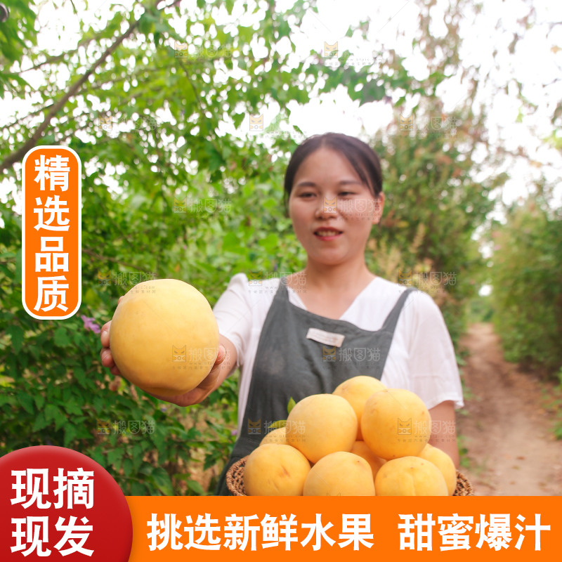手里拿着炎陵黄桃