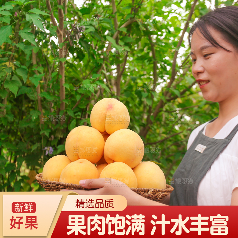 手里拿着炎陵黄桃
