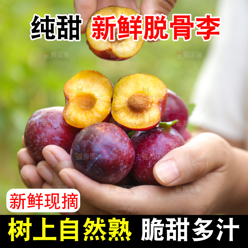 木底上放着红脱骨李