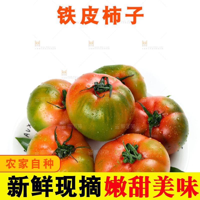 白底上放着铁皮西红柿