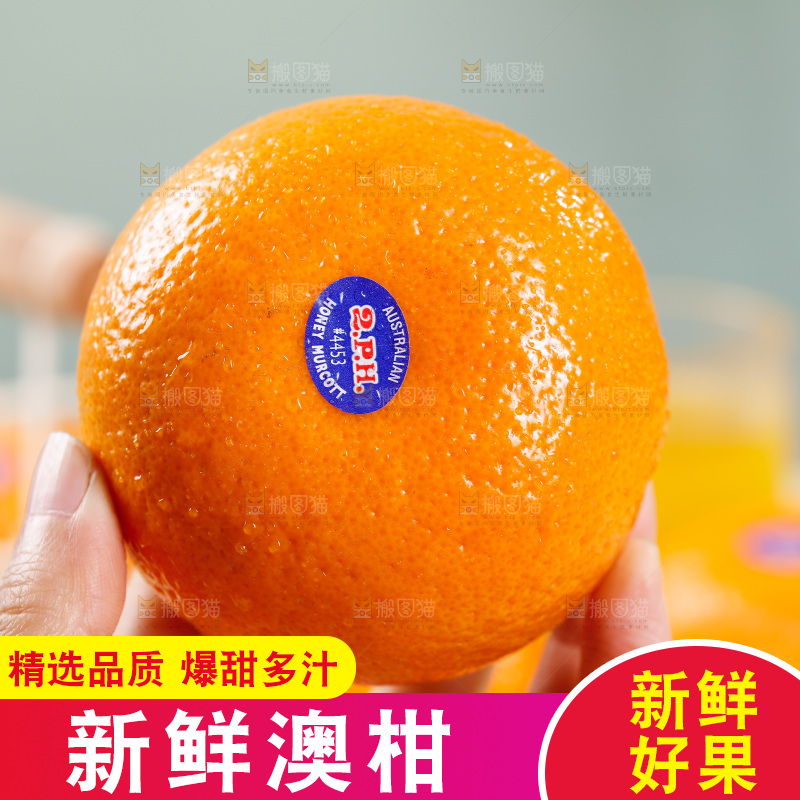 浅底上的新鲜澳柑