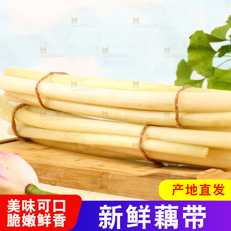 浅底上的藕带