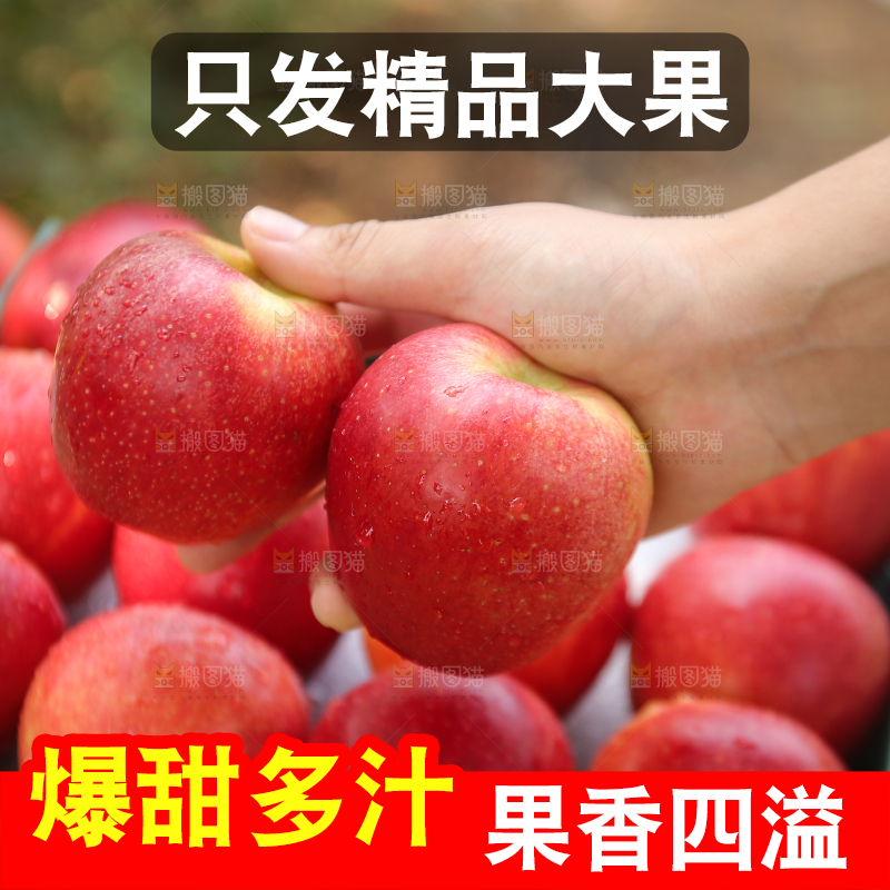手里拿着高原红苹果