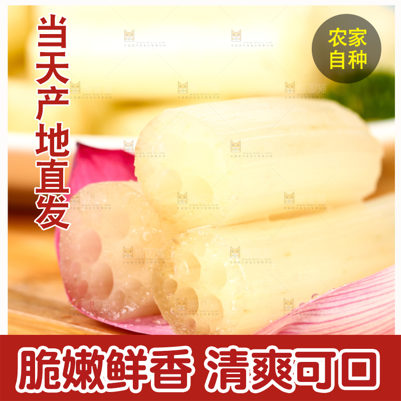 浅底上的藕带