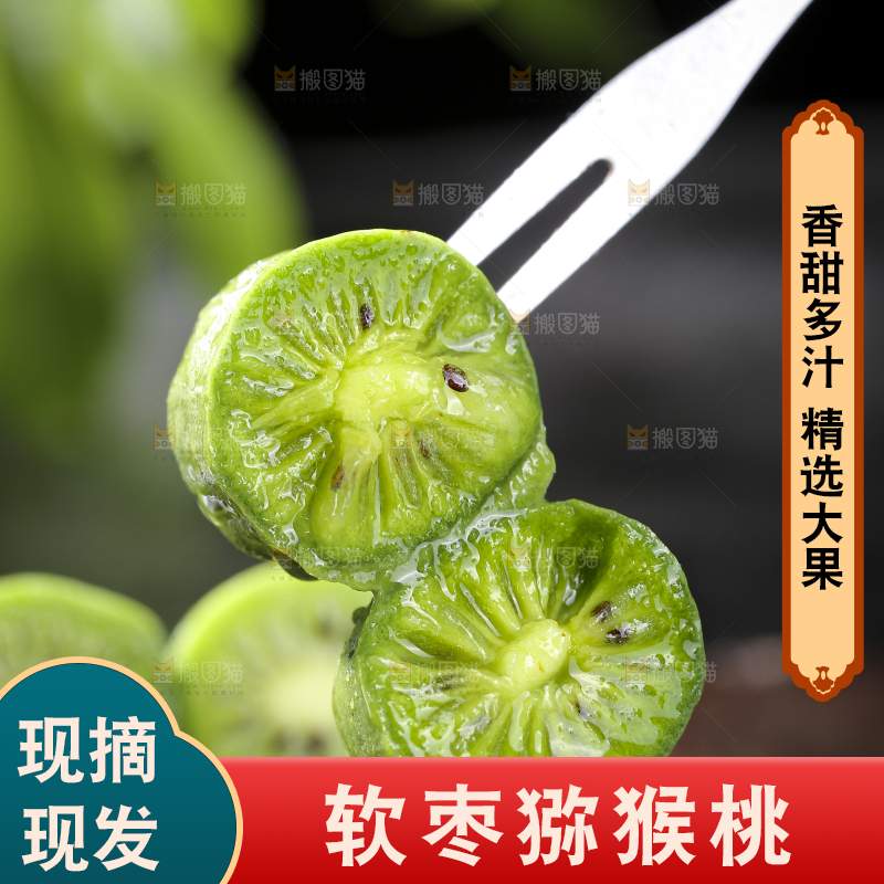 深底上的软枣猕猴桃