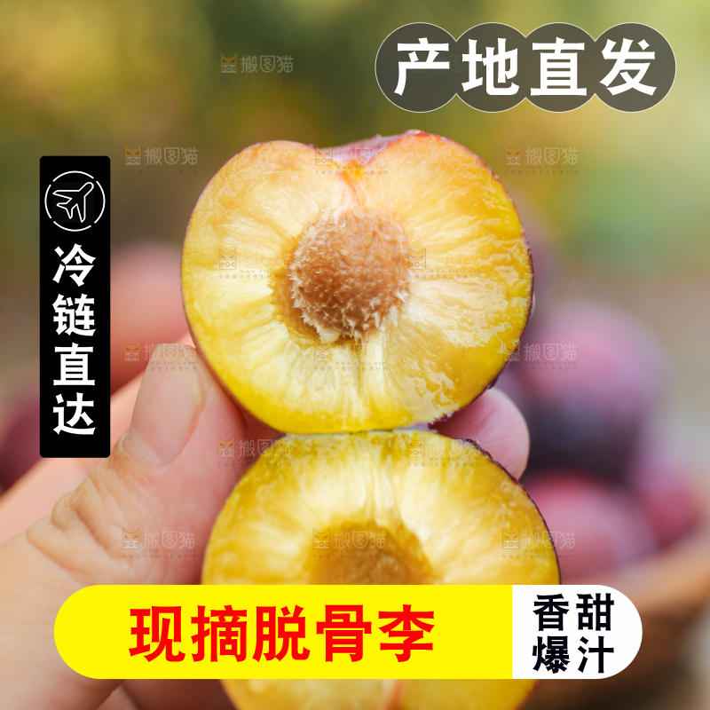 木底上放着红脱骨李