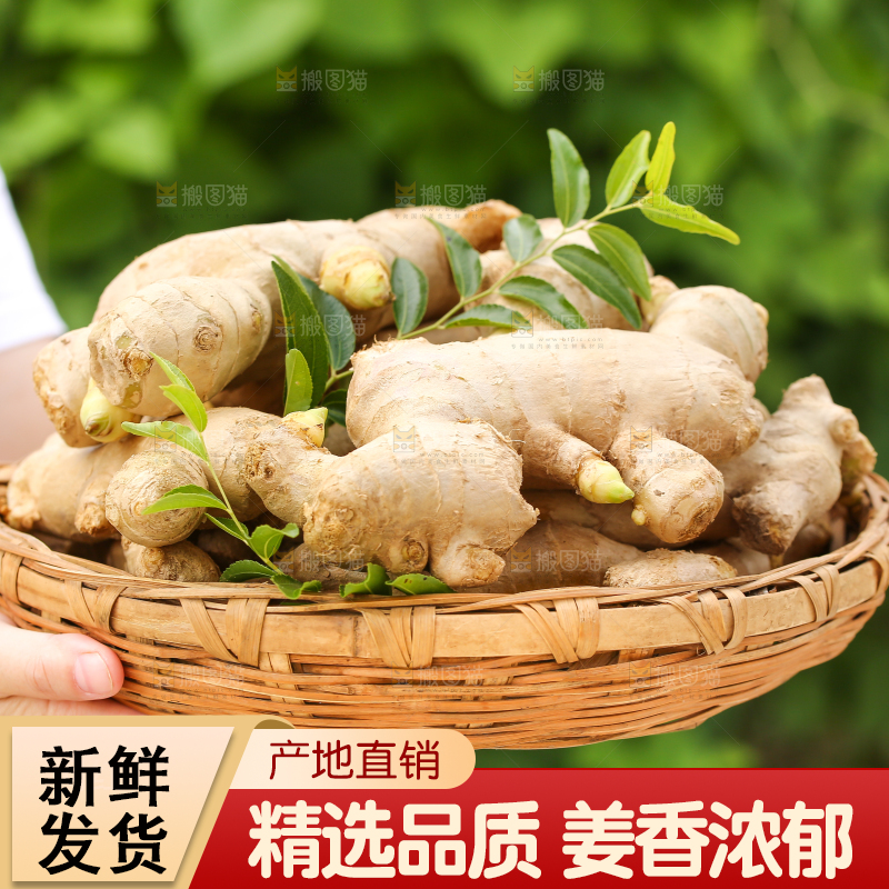 手里拿着生姜