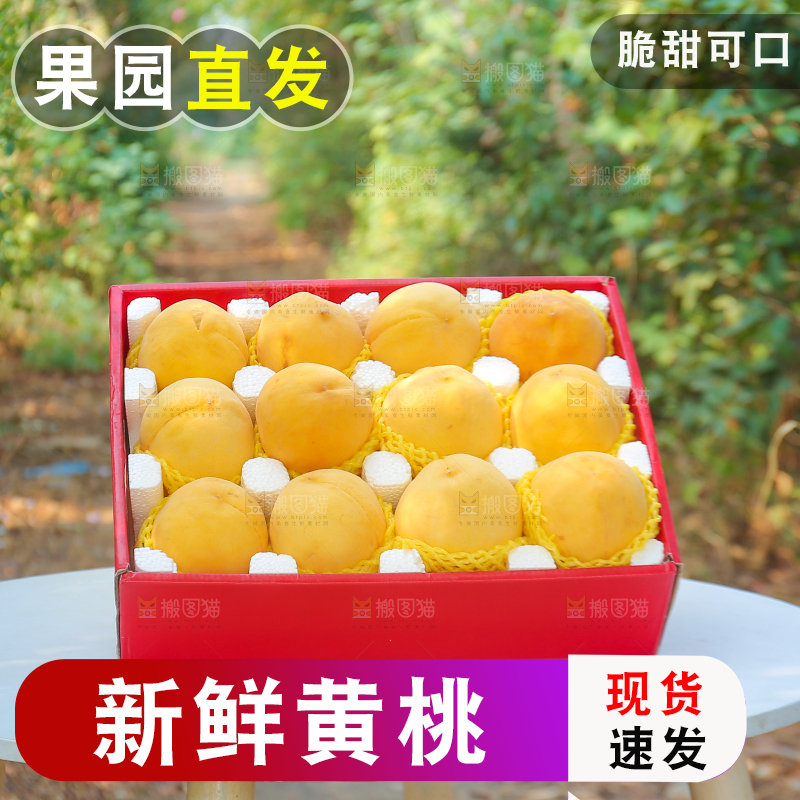 手里拿着炎陵黄桃
