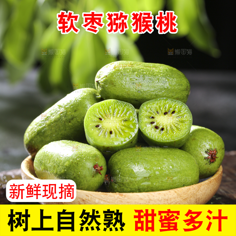 深底上的软枣猕猴桃