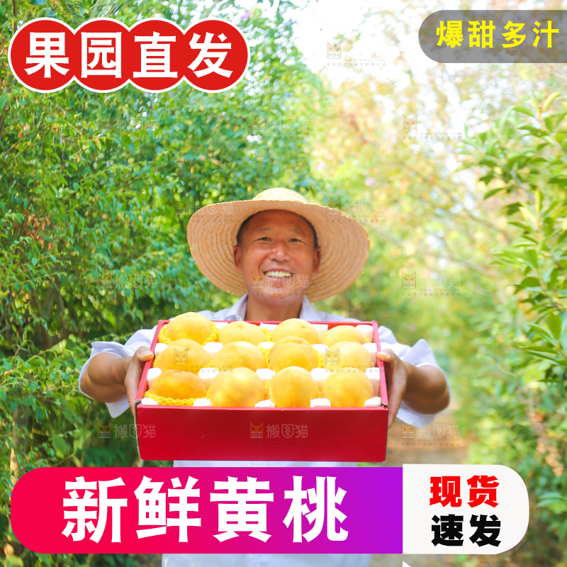 手里拿着炎陵黄桃