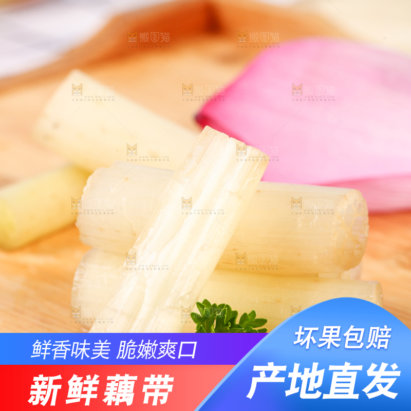 浅底上的藕带