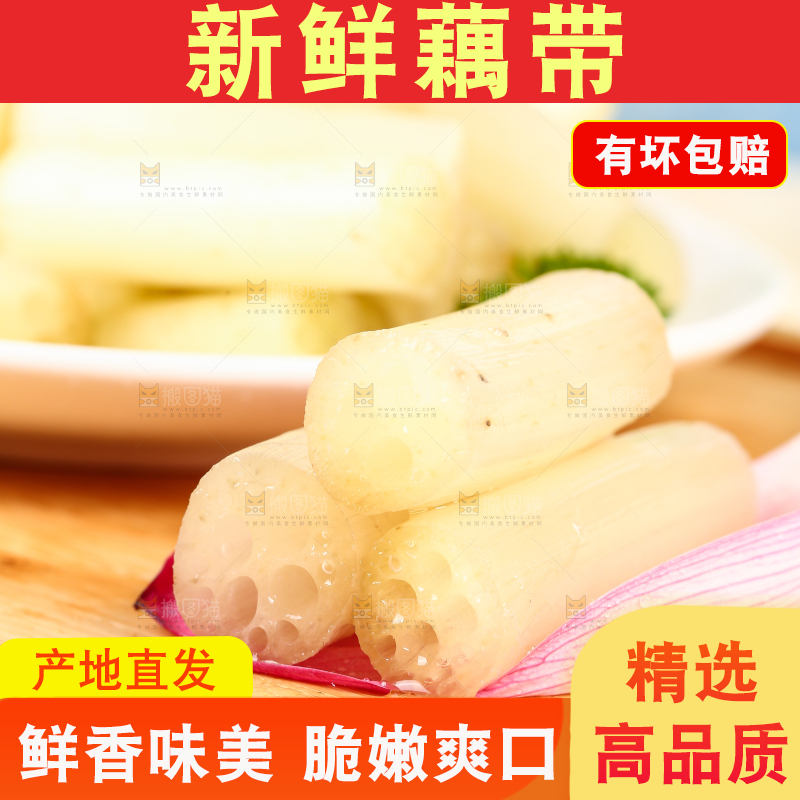 浅底上的藕带