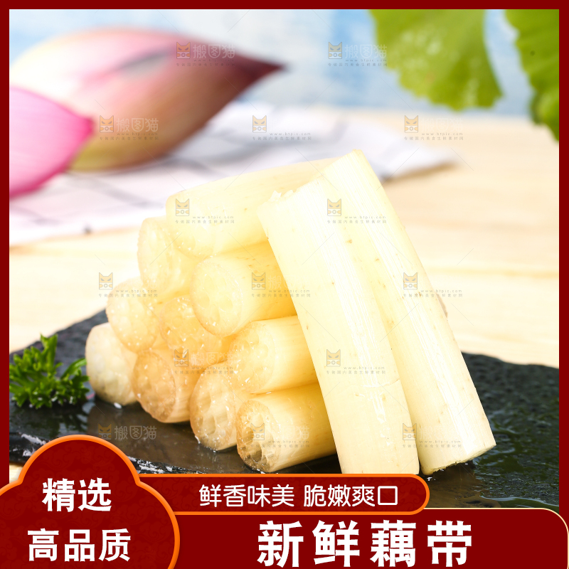 浅底上的藕带