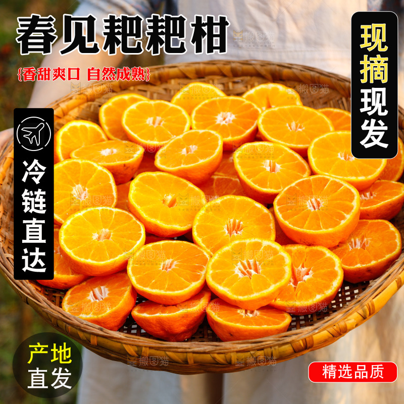 草地上的耙耙柑