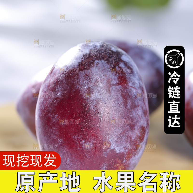 浅底上的西梅