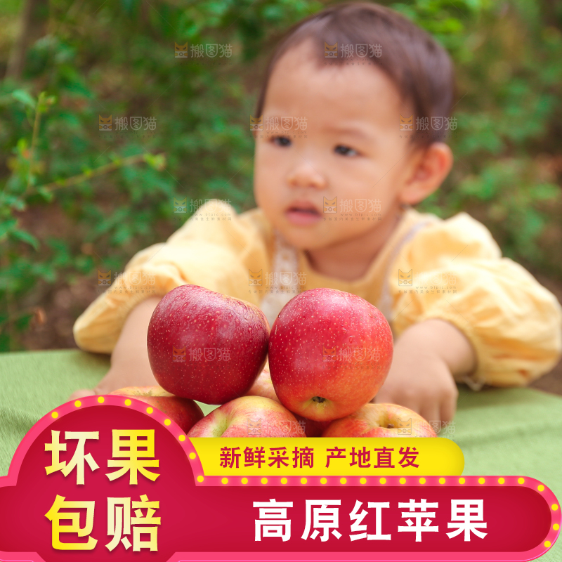 手里拿着高原红苹果