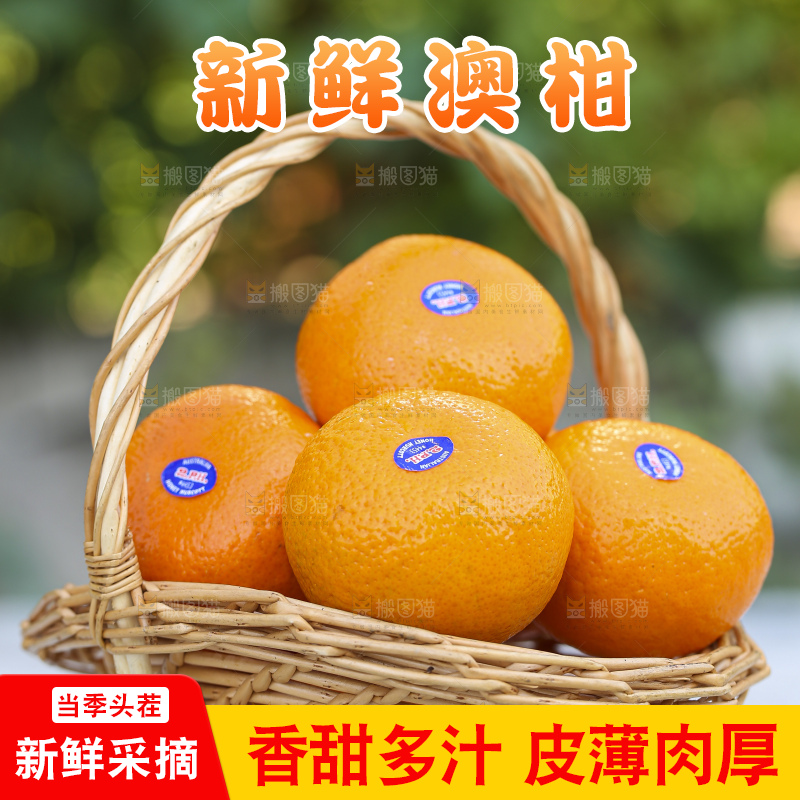 手里拿着进口澳柑