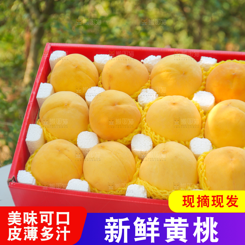 手里拿着炎陵黄桃