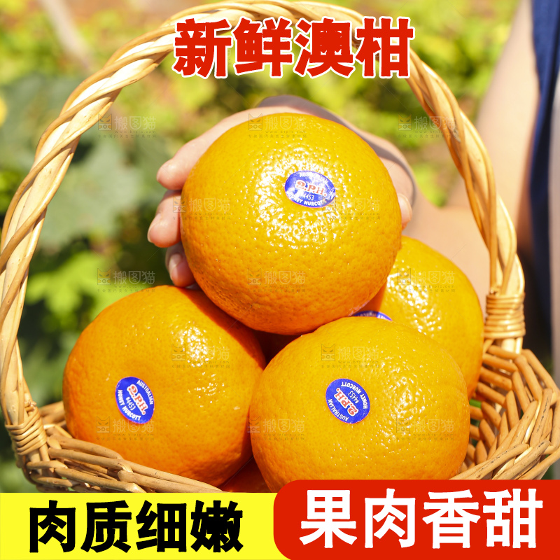 手里拿着进口澳柑