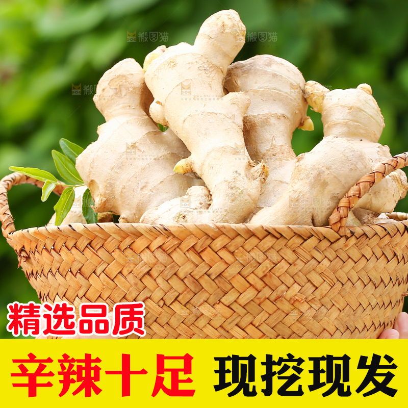 手里拿着生姜