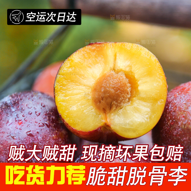 木底上放着红脱骨李