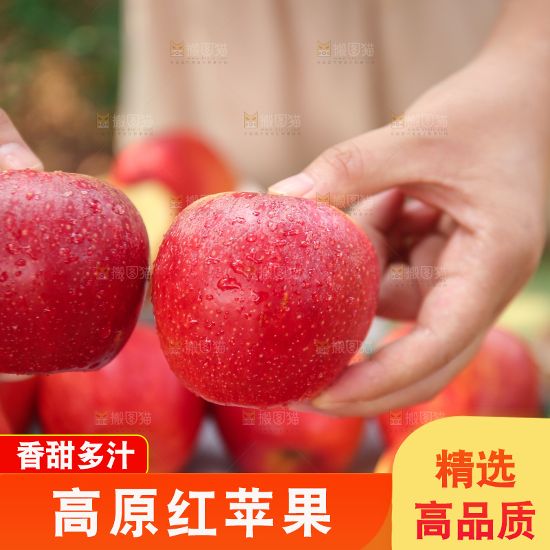 手里拿着高原红苹果