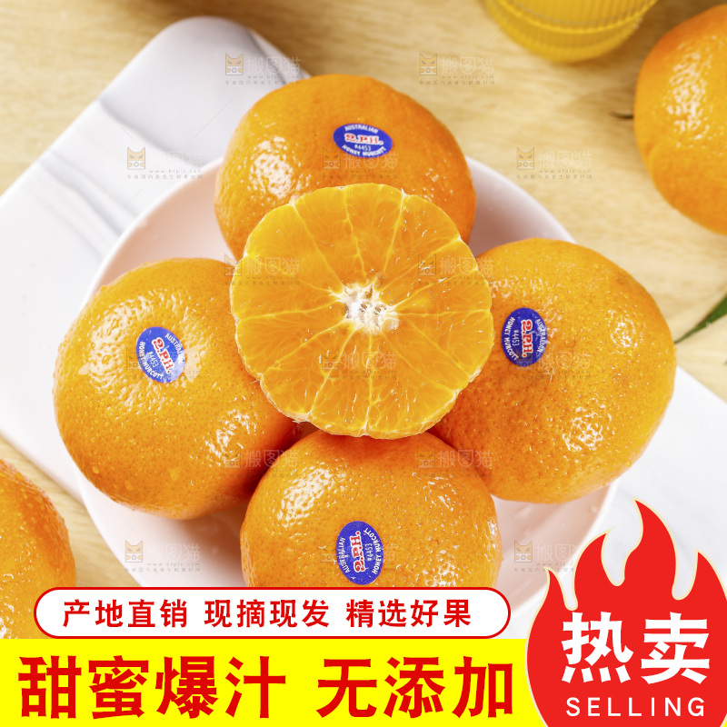 浅底上的新鲜澳柑