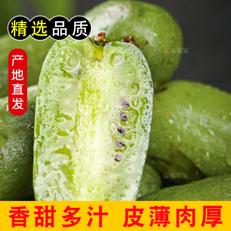 深底上的软枣猕猴桃