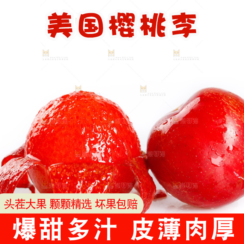 白底上的樱桃李