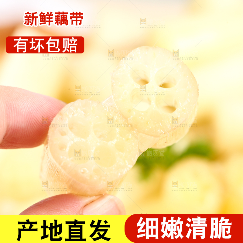 浅底上的藕带