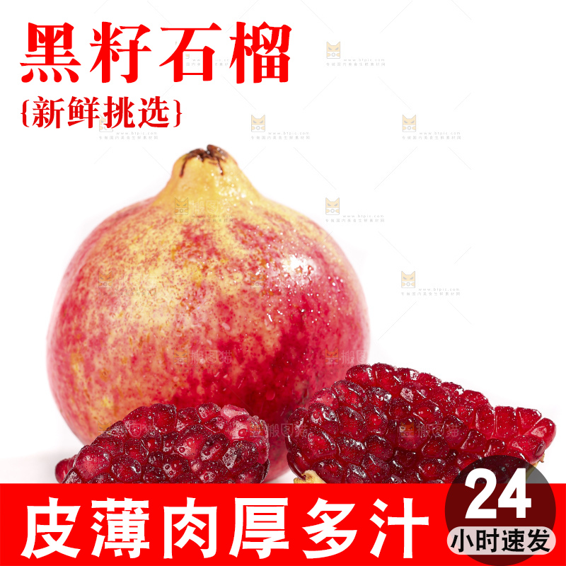 白底上的突尼斯软籽石榴