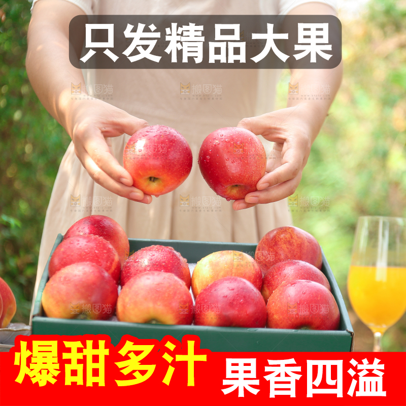 手里拿着高原红苹果