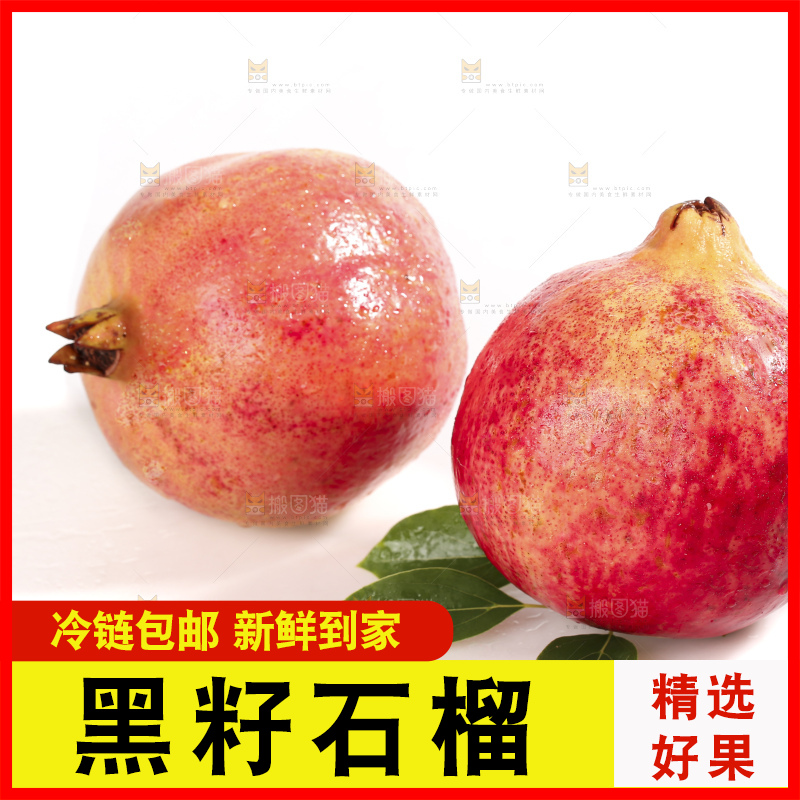 白底上的突尼斯软籽石榴
