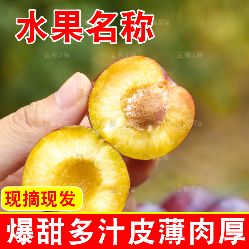 木底上放着红脱骨李