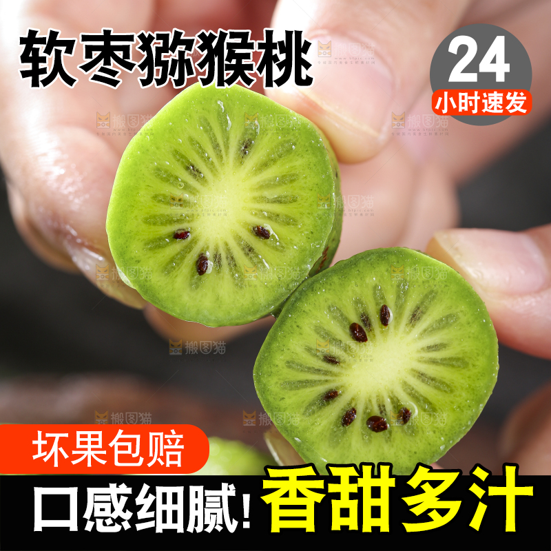深底上的软枣猕猴桃