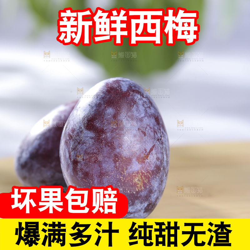 浅底上的西梅